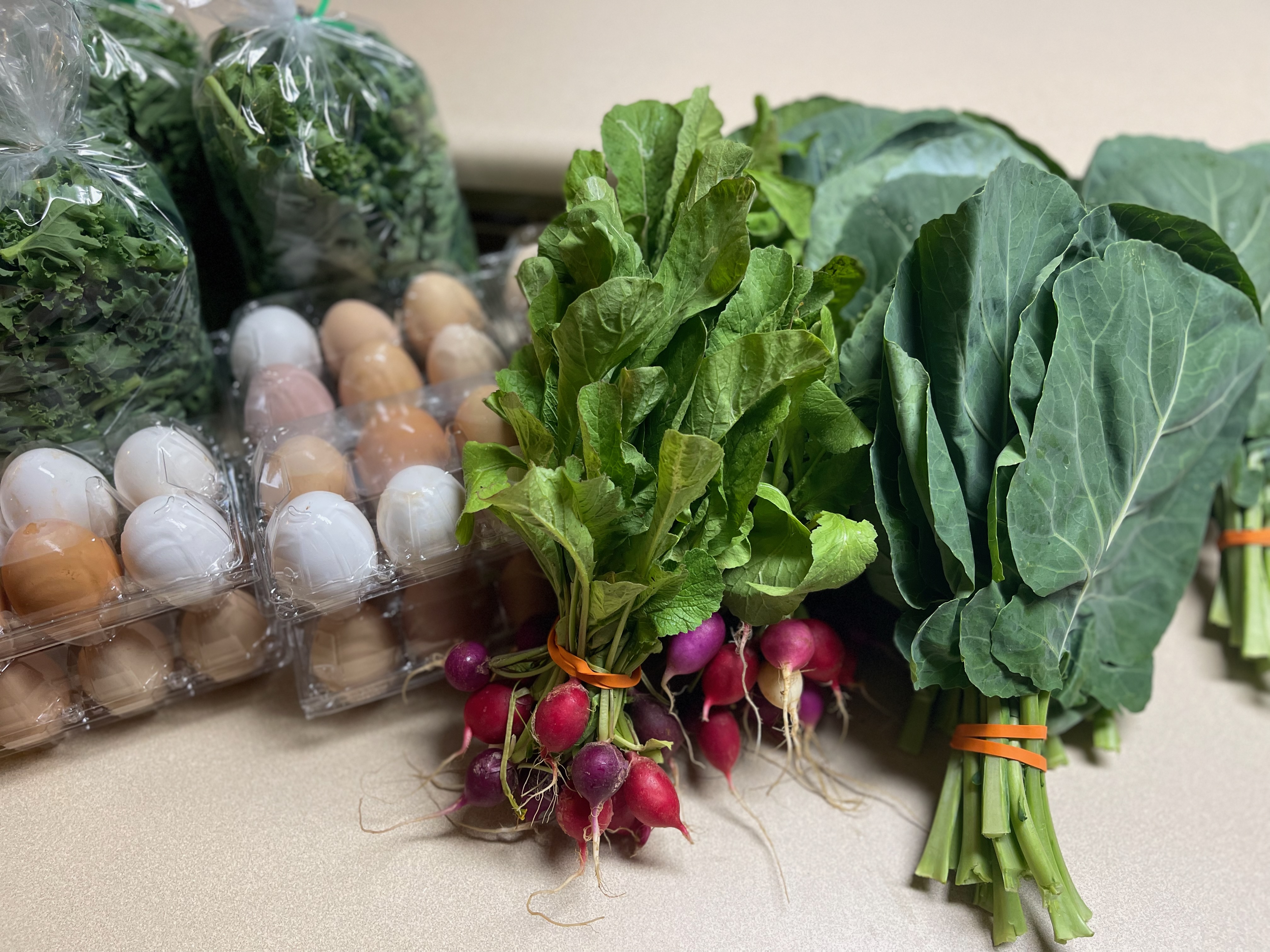 Fresh harvest from Branches Ministries